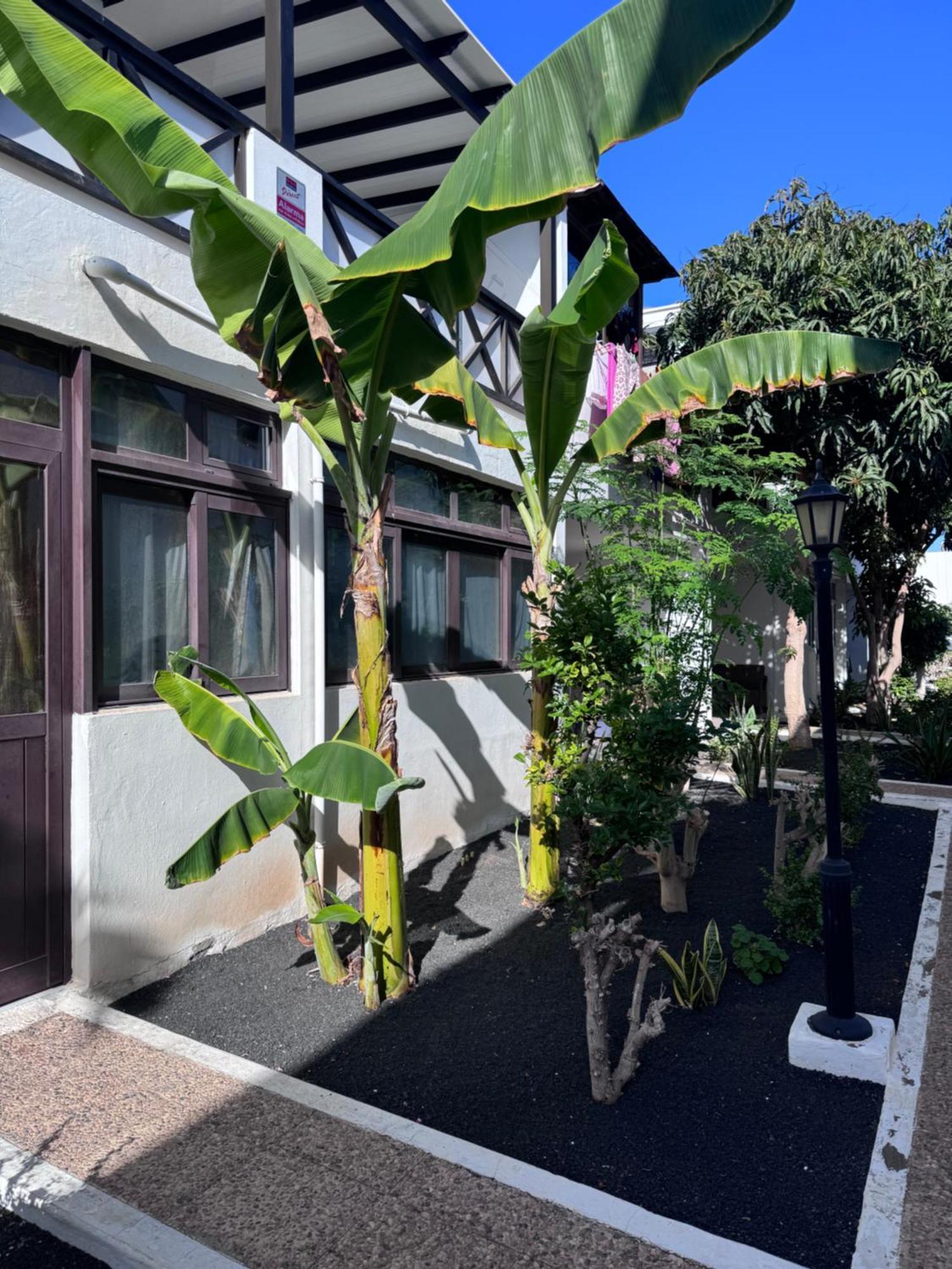 Casa Ana Puerto Del Carmen Apartment Tías Exterior foto